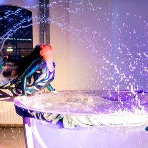 Situm Events - vianocne vecierky